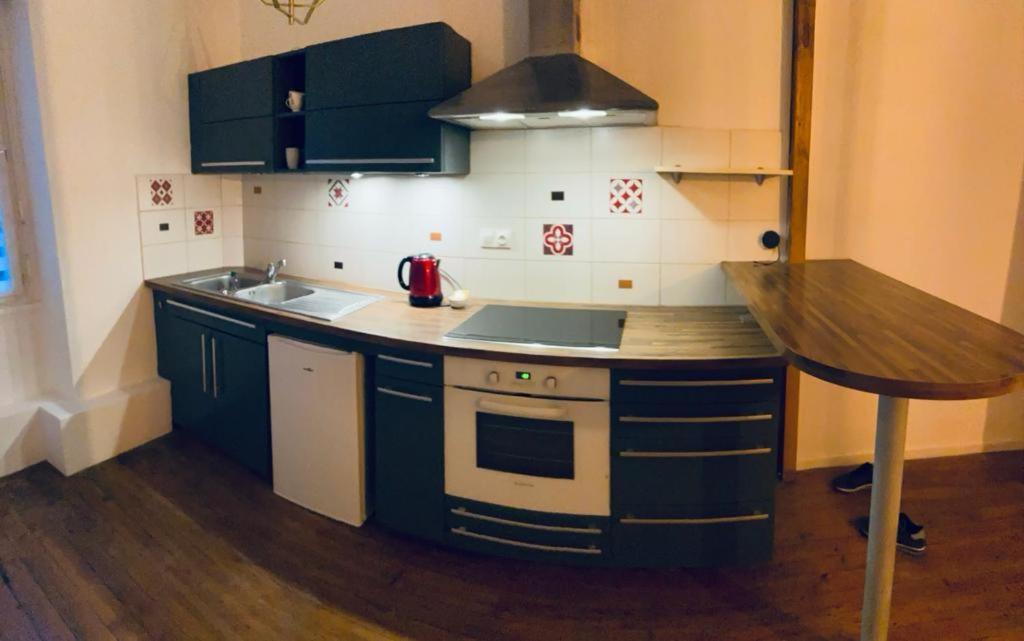 Le Bleu Roi Apartment Dijon Bagian luar foto